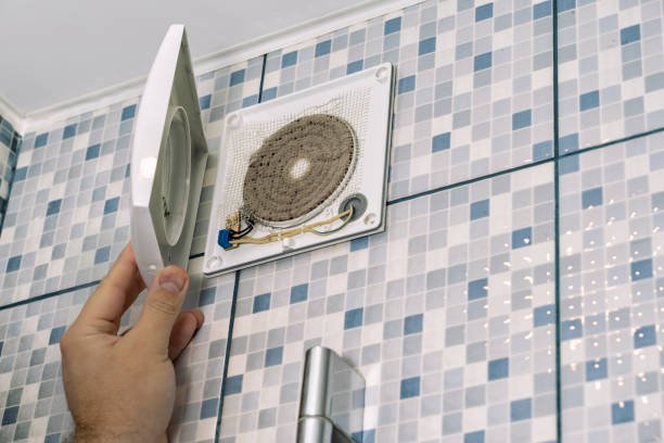 Best Ductwork Cleaning Services  in Crane, TX