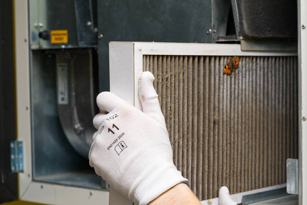 Best Ductwork Cleaning Services  in Crane, TX